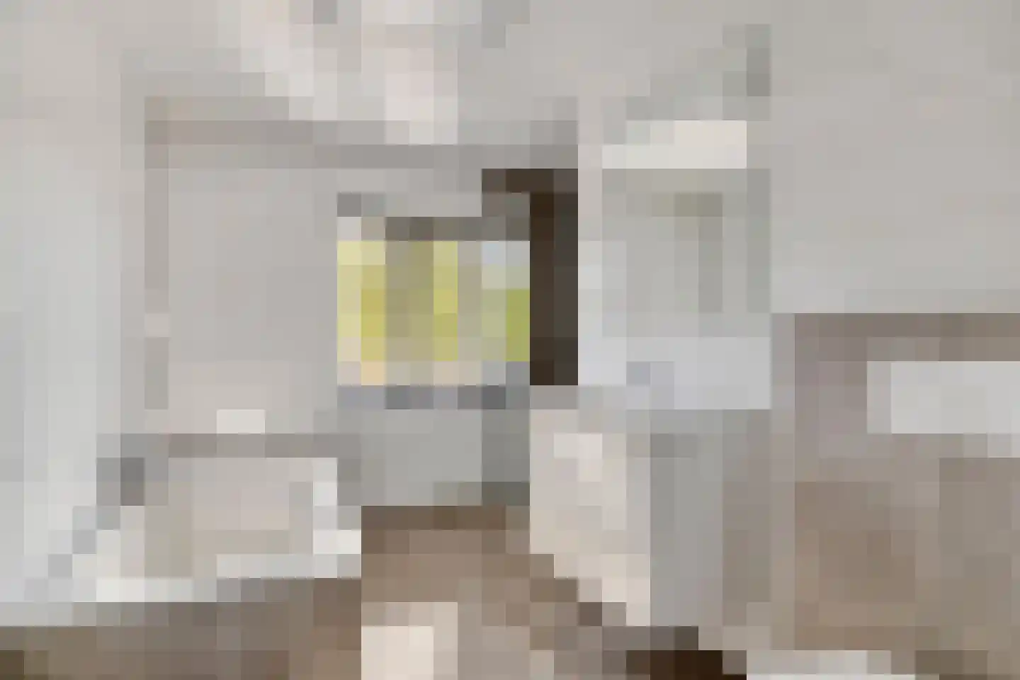 Paul Krügerstraat 16 Waalwijk thumbnail 4