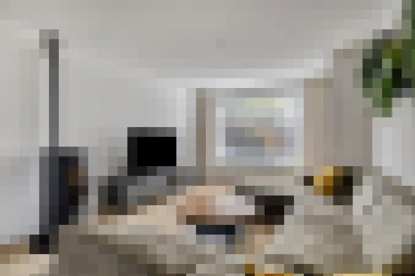 Paul Krügerstraat 16 Waalwijk thumbnail 8