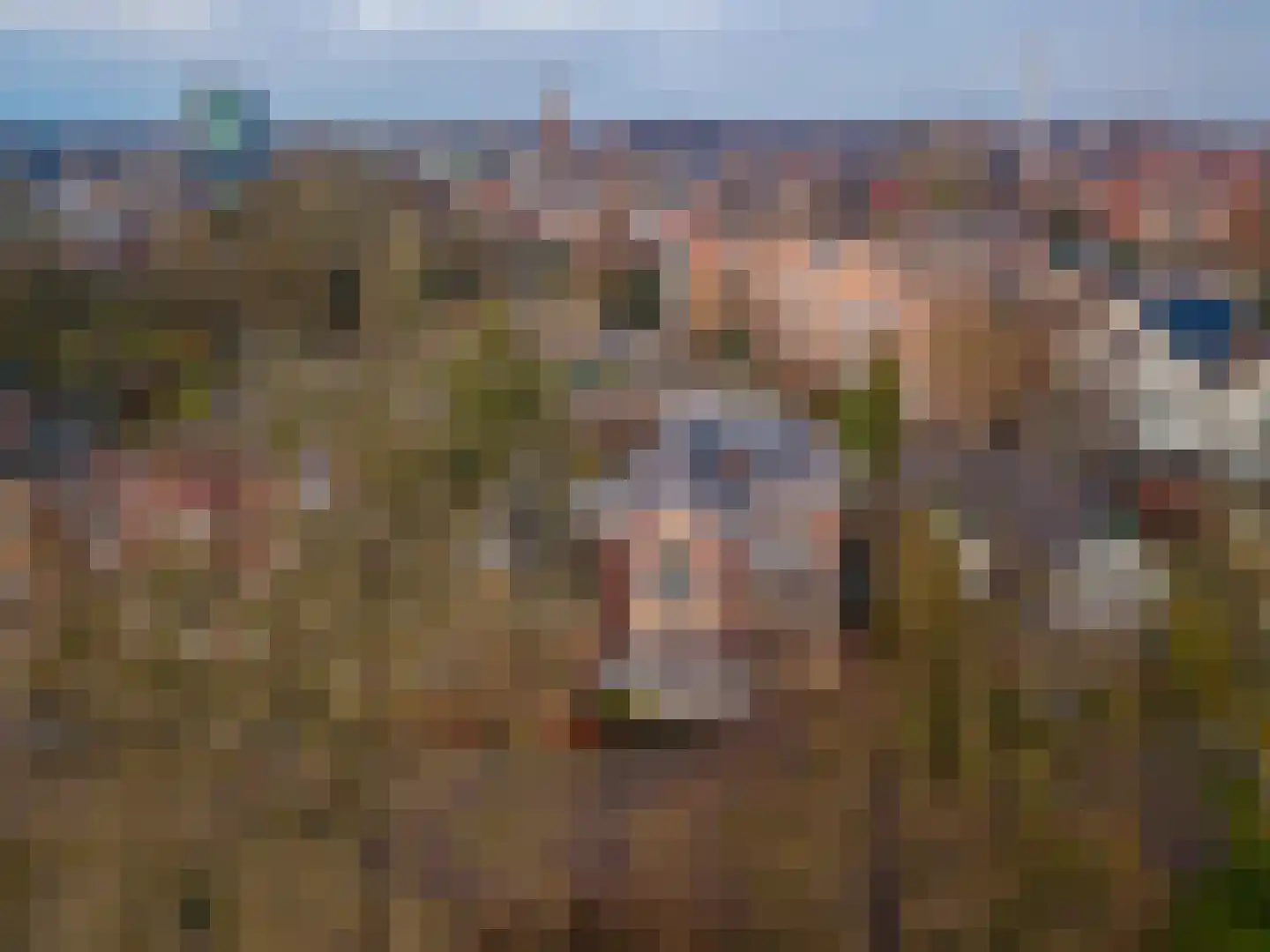 Paul Krugerstraat 16 Winschoten thumbnail 4