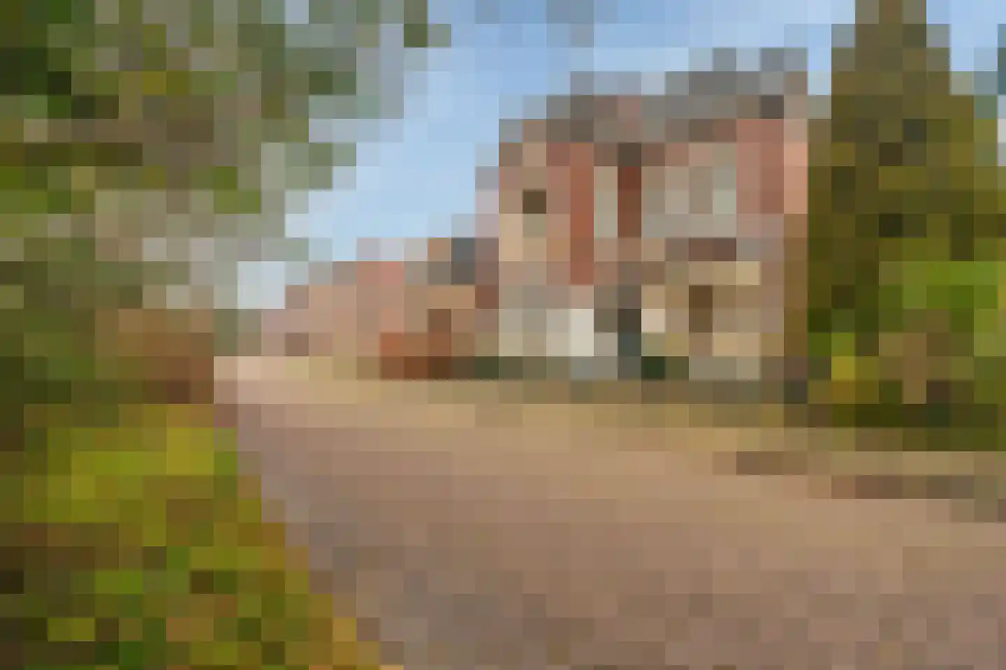 Paul Krugerstraat 16 Winschoten thumbnail 5