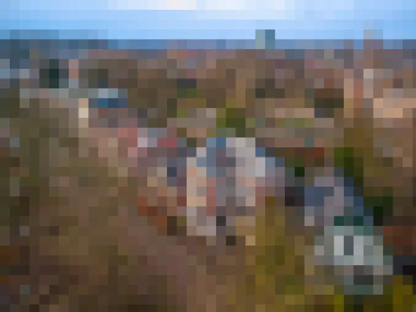 Paul Krugerstraat 16 Winschoten thumbnail 7