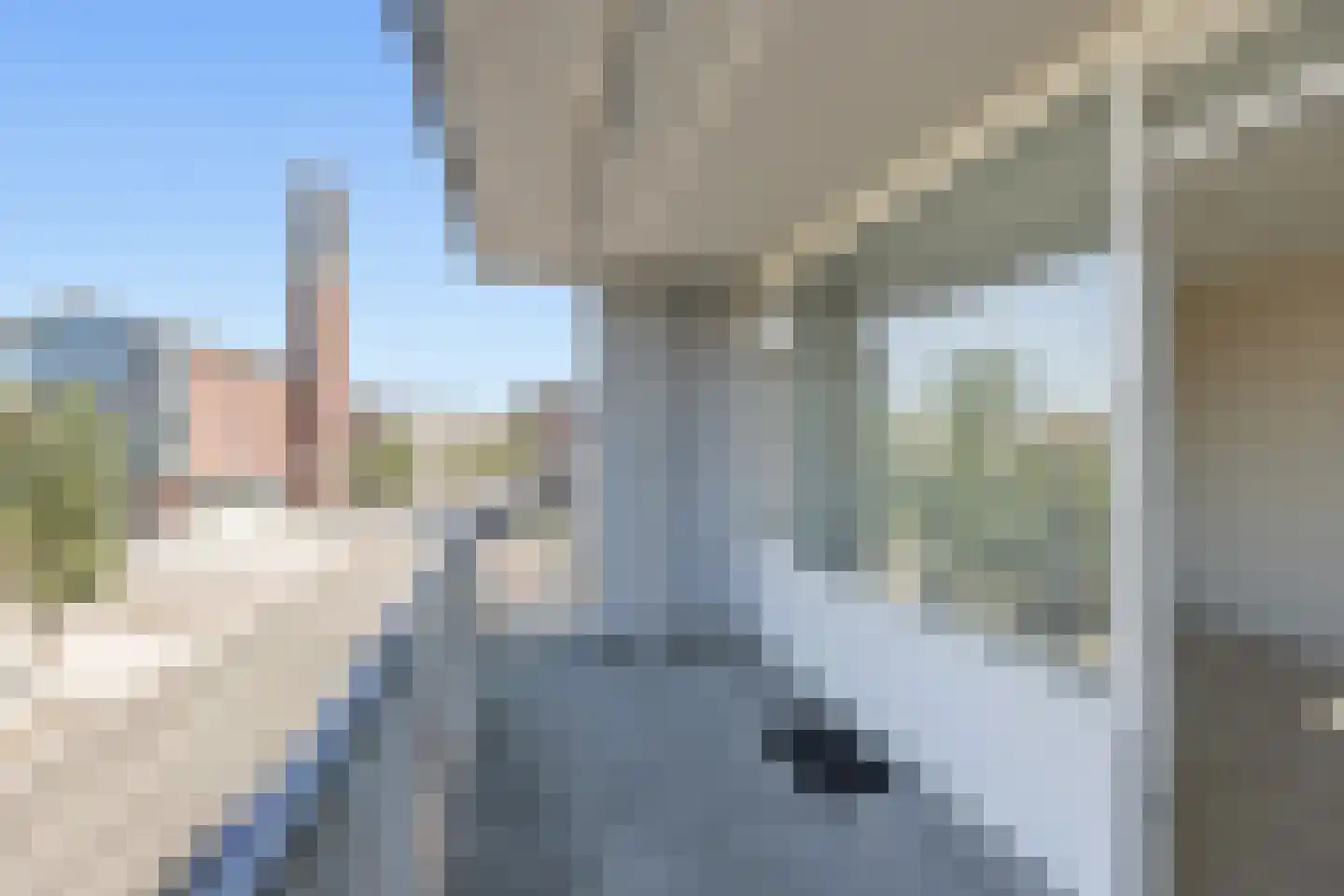 Paul Krugerstraat 2 21 Vlissingen thumbnail 18