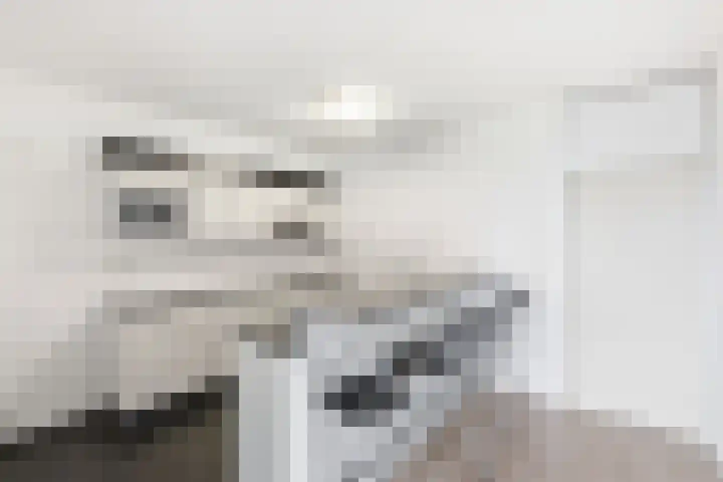 Paul Krugerstraat 20 550 Vlissingen thumbnail 12