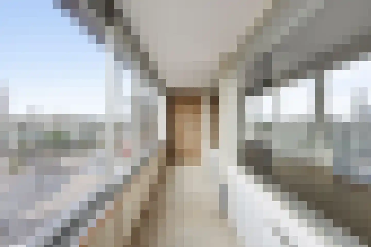Paul Krugerstraat 20 550 Vlissingen thumbnail 6