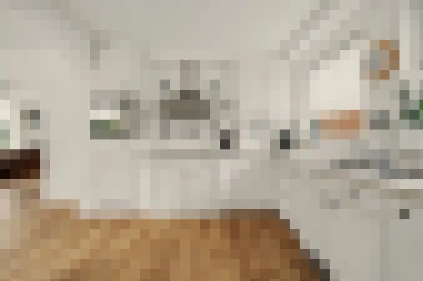 Paul Krügerstraat 20 Nisse thumbnail 14