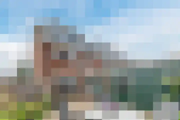 Paul Krugerstraat 20 Wormerveer thumbnail 4