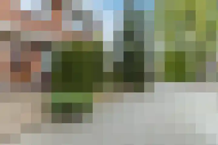 Paul Krugerstraat 20 Wormerveer thumbnail 5
