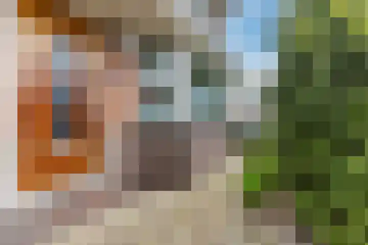 Paul Krugerstraat 20 Wormerveer thumbnail 6
