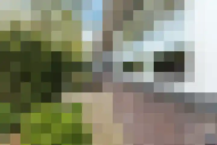 Paul Krugerstraat 20 Wormerveer thumbnail 7