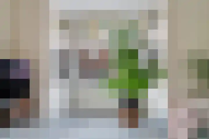 Paul Krugerstraat 200 Vlissingen thumbnail 4