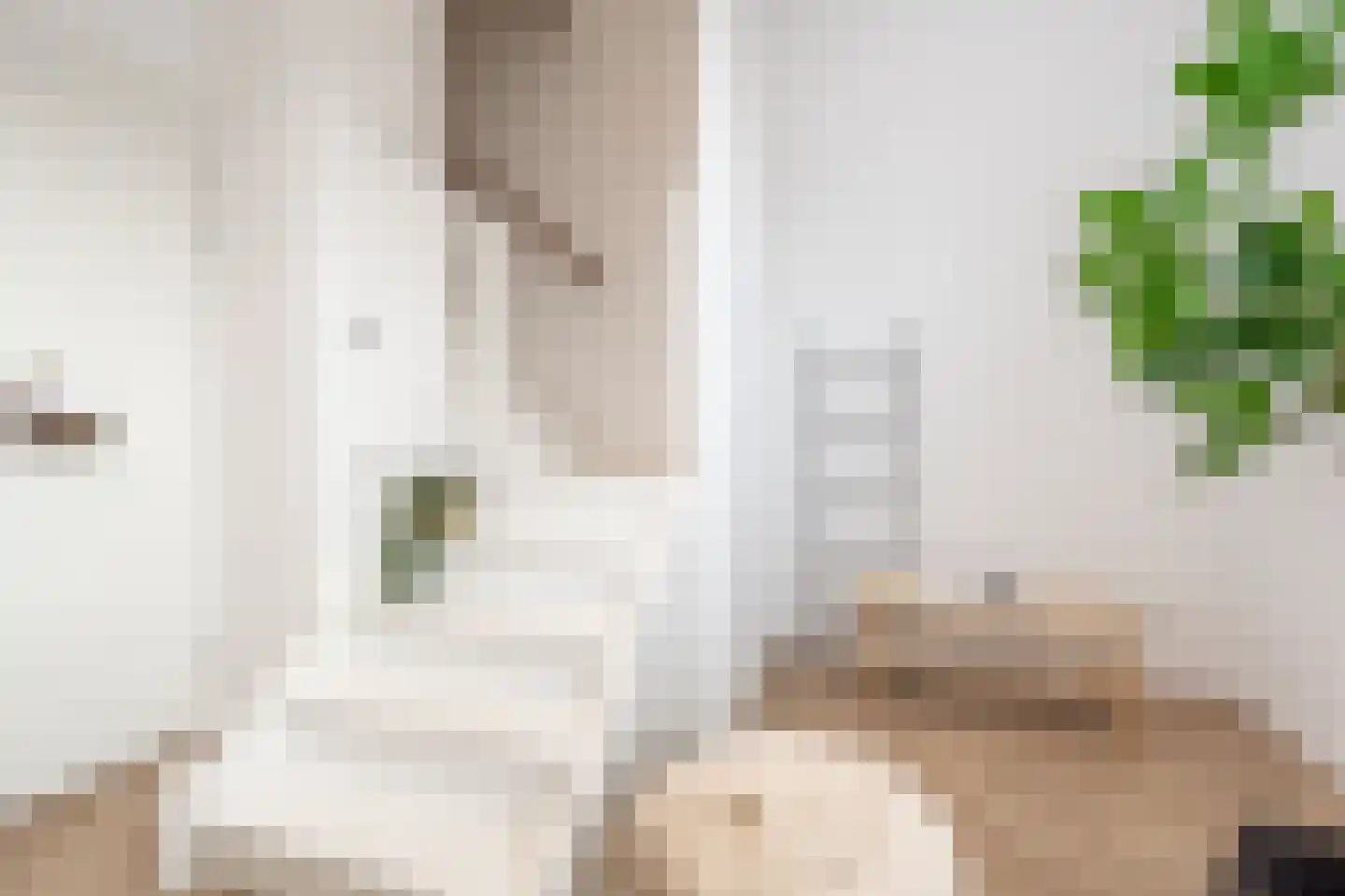 Paul Krugerstraat 21 Rotterdam thumbnail 12