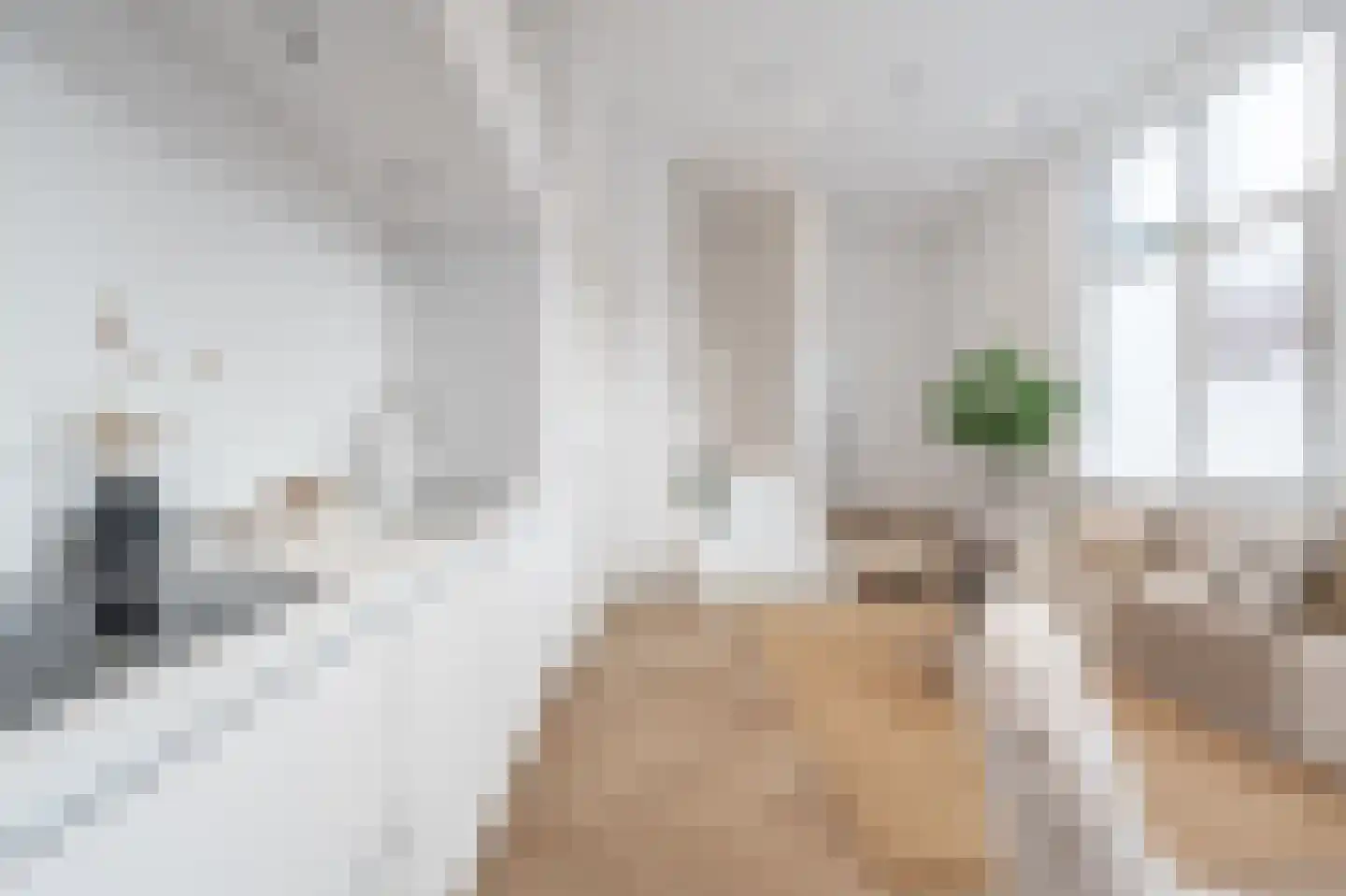 Paul Krugerstraat 21 Rotterdam thumbnail 5
