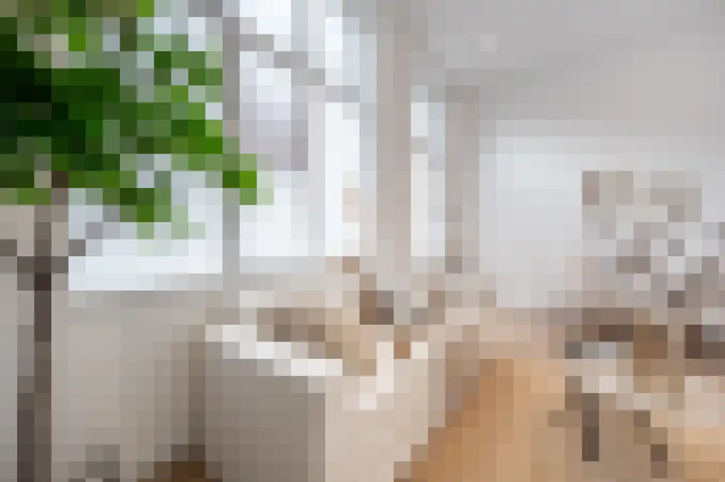 Paul Krugerstraat 21 Rotterdam thumbnail 8