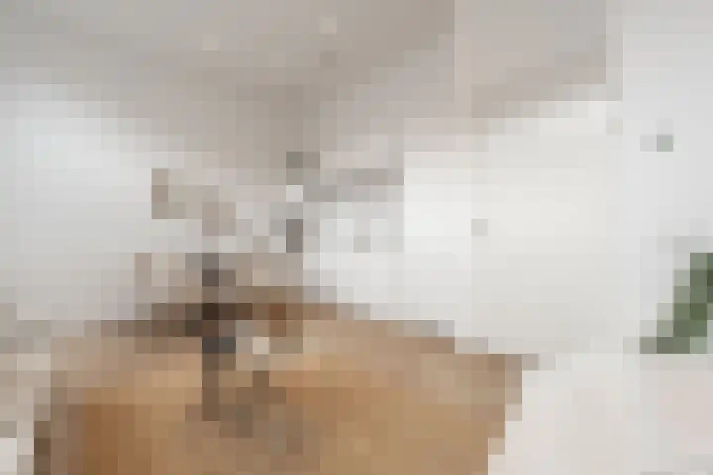 Paul Krugerstraat 21 Rotterdam thumbnail 9