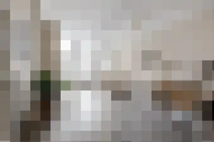 Paul Krugerstraat 22 ZW Haarlem thumbnail 9