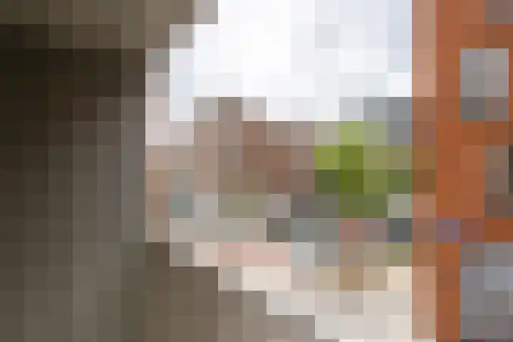 Paul Krugerstraat 23 Rotterdam thumbnail 15