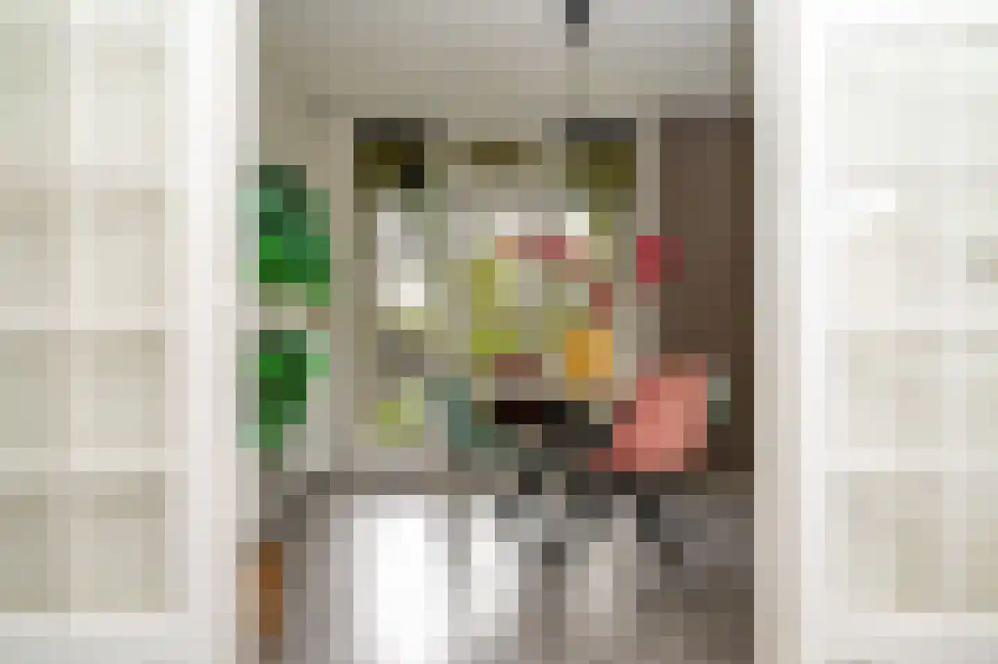 Paul Krugerstraat 25 Nijmegen thumbnail 5