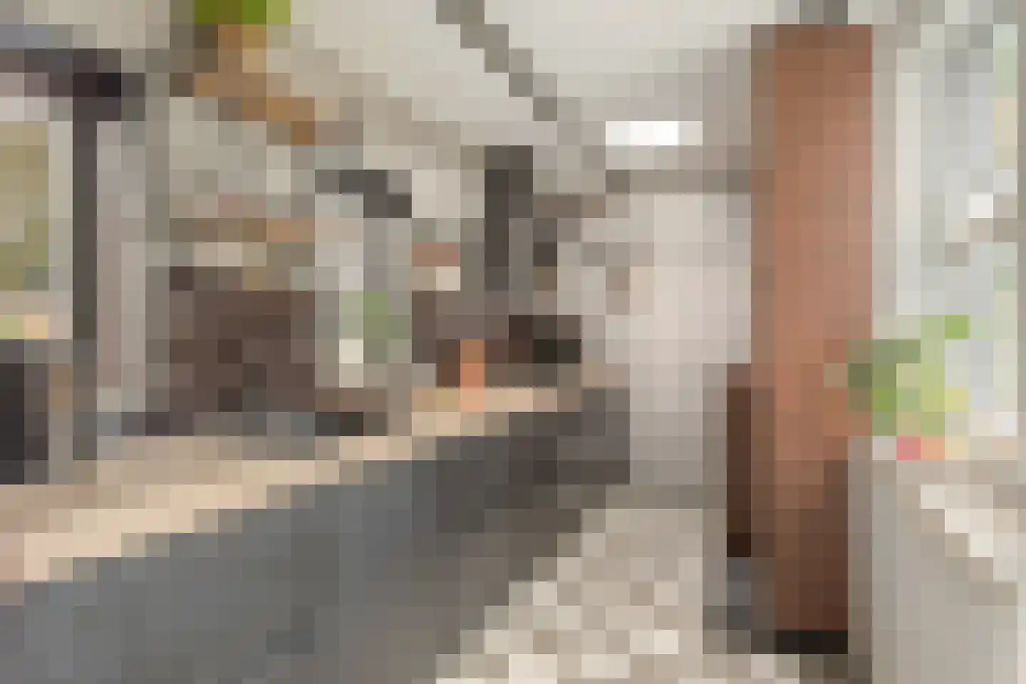 Paul Krugerstraat 26 Hengelo thumbnail 11