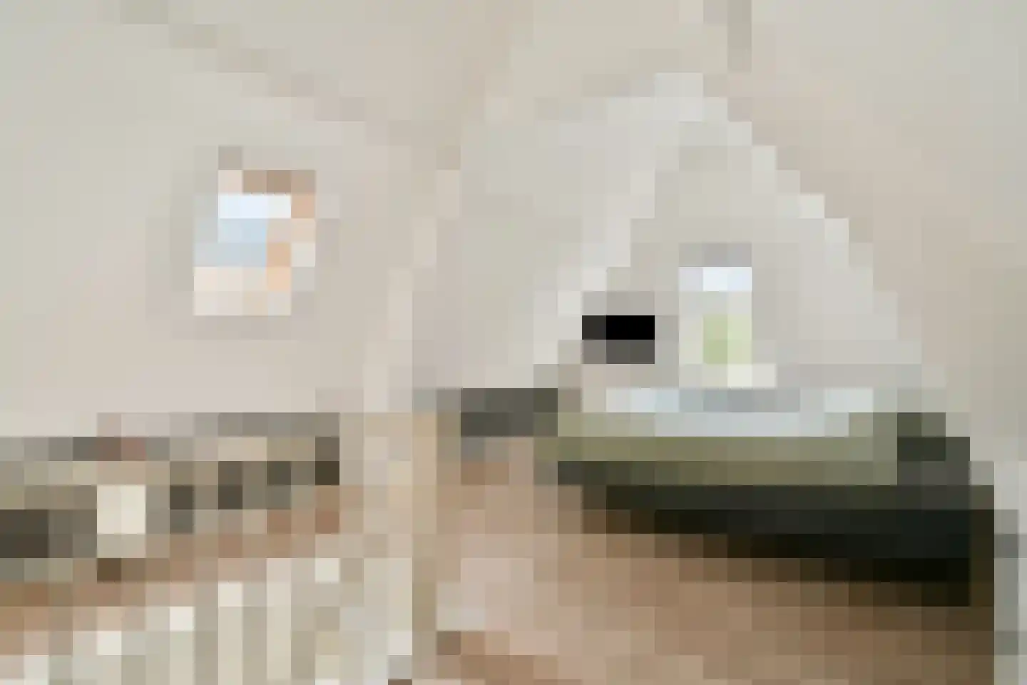 Paul Krugerstraat 3 Dordrecht thumbnail 5