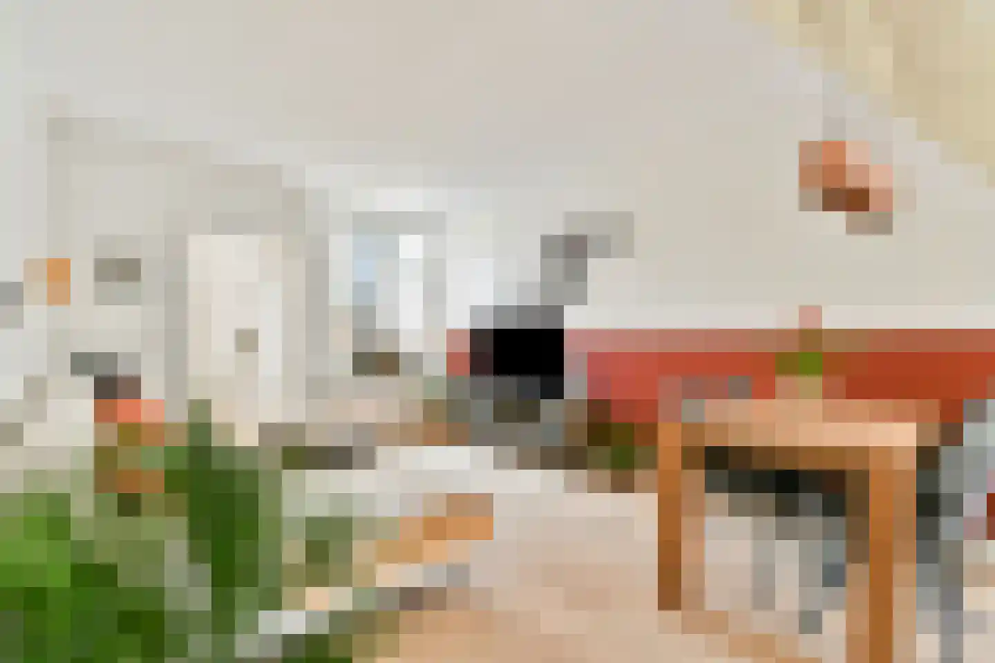Paul Krugerstraat 3 Dordrecht thumbnail 7