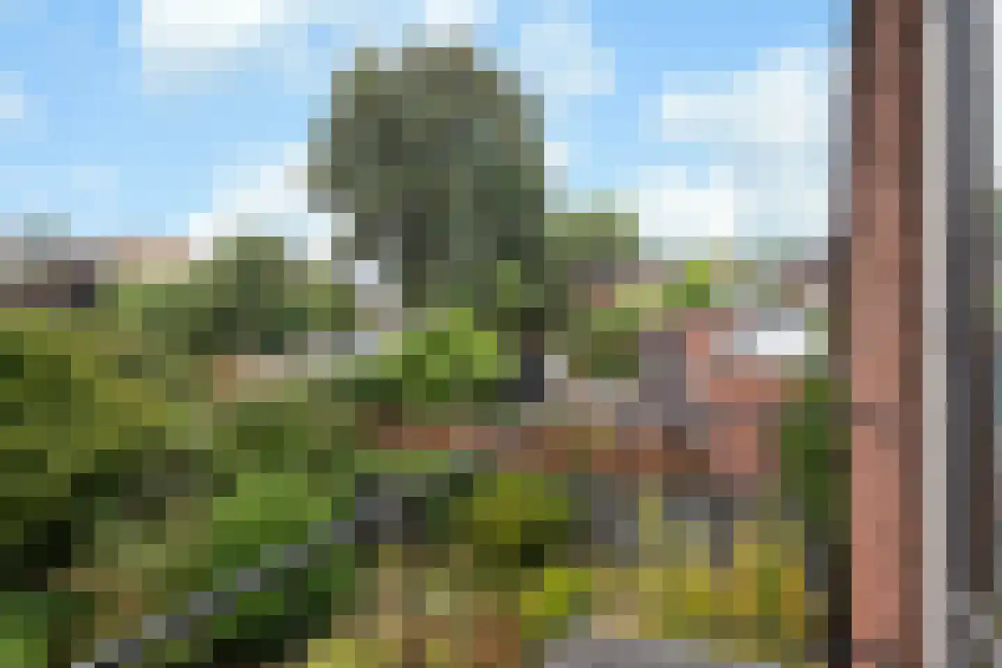 Paul Krugerstraat 30 Oosterbeek thumbnail 31