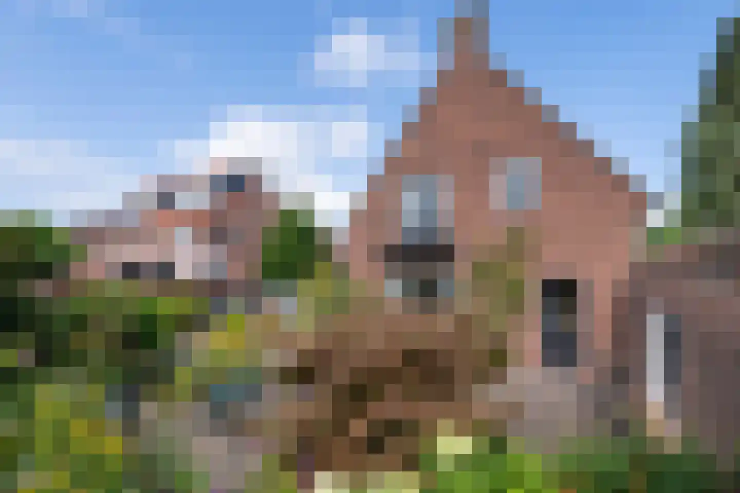 Paul Krugerstraat 30 Oosterbeek thumbnail 47