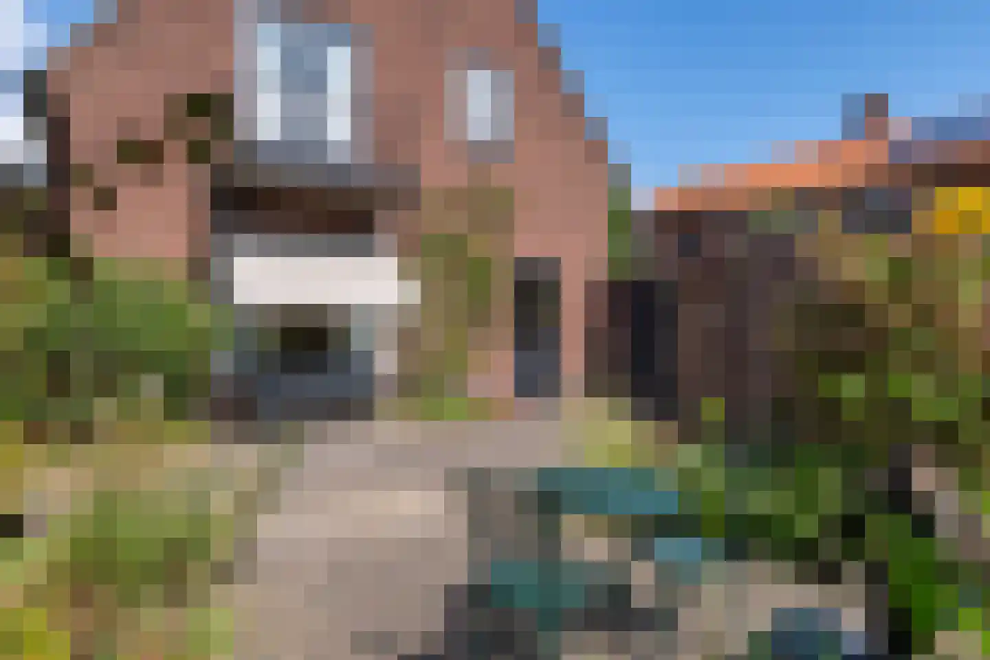 Paul Krugerstraat 30 Oosterbeek thumbnail 49