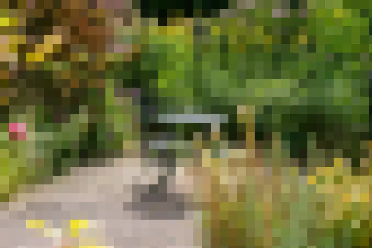 Paul Krugerstraat 30 Oosterbeek thumbnail 54