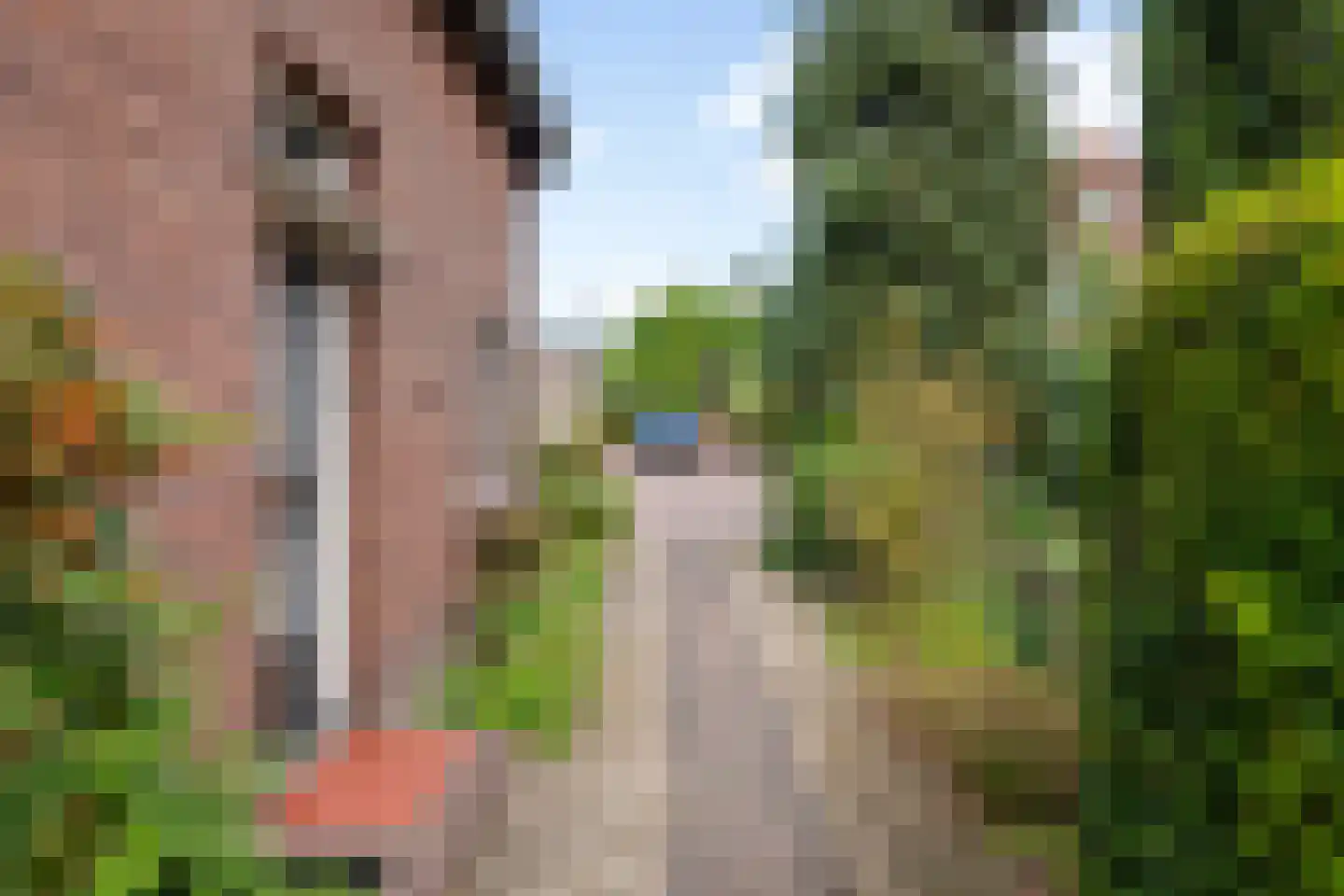 Paul Krugerstraat 30 Oosterbeek thumbnail 56