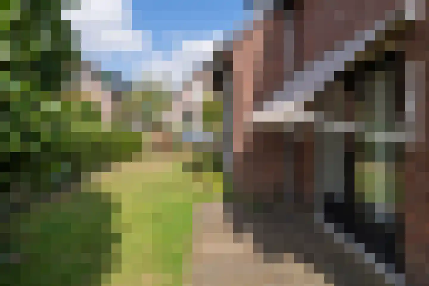 Paul Krugerstraat 30 Oosterbeek thumbnail 64