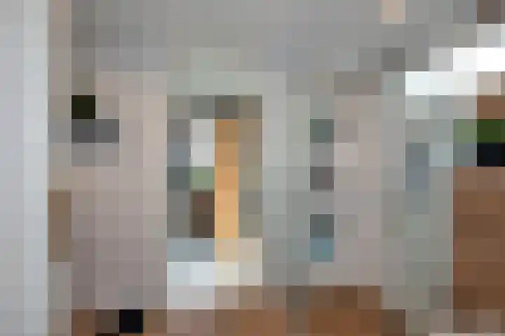 Paul Krugerstraat 31 Hengelo thumbnail 26