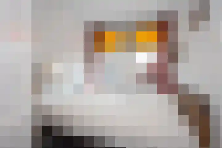 Paul Krugerstraat 31 Hengelo thumbnail 30
