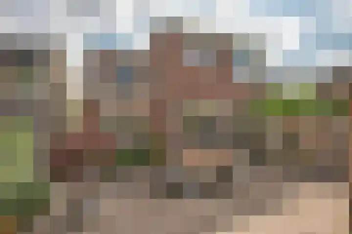 Paul Krugerstraat 31 Hengelo thumbnail 39