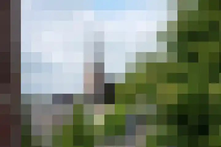 Paul Krugerstraat 31 Hengelo thumbnail 46