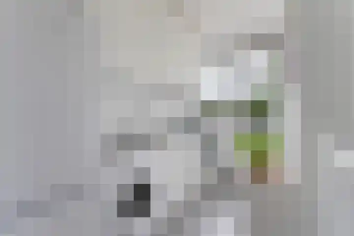 Paul Krugerstraat 329 Vlissingen thumbnail 16