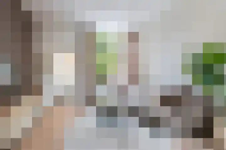 Paul Krugerstraat 33 Dordrecht thumbnail 12