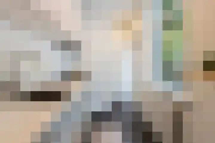 Paul Krugerstraat 33 Dordrecht thumbnail 4
