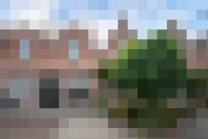 Paul Krugerstraat 33 Dordrecht thumbnail 6