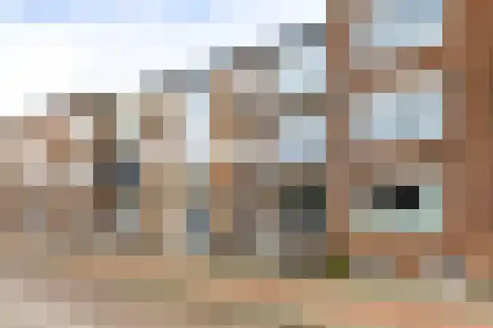 Paul Krugerstraat 347 Vlissingen thumbnail 7