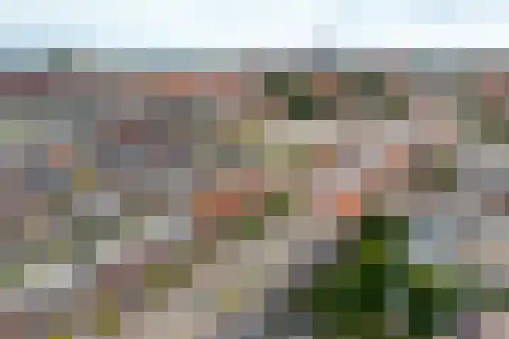 Paul Krugerstraat 348 Vlissingen thumbnail 6