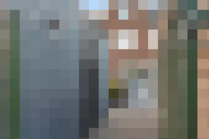 Paul Krugerstraat 36 Assen thumbnail 43