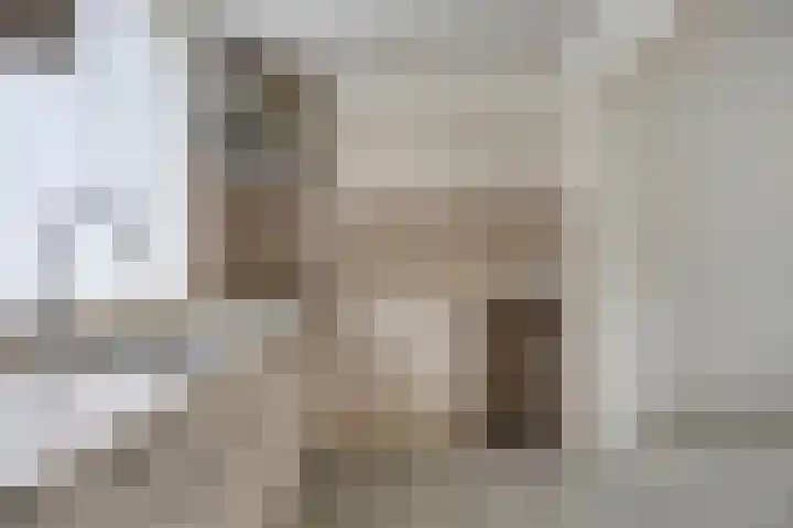 Paul Krügerstraat 38 Waalwijk thumbnail 9