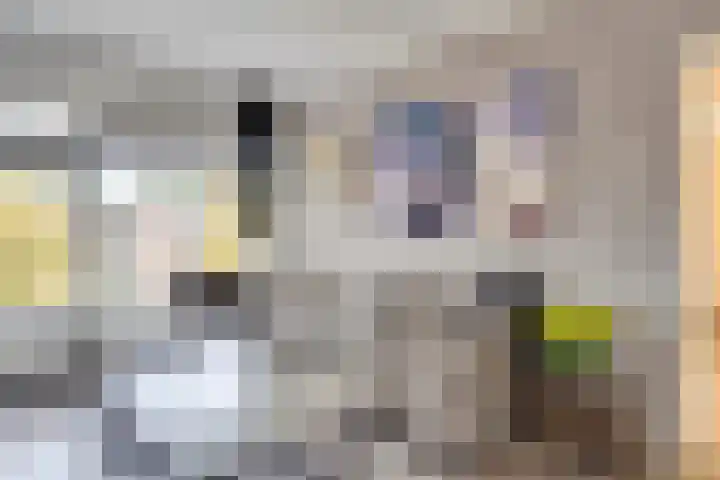Paul Krugerstraat 396 Vlissingen thumbnail 31