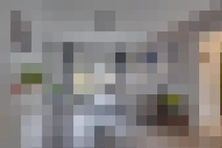 Paul Krugerstraat 396 Vlissingen thumbnail 32