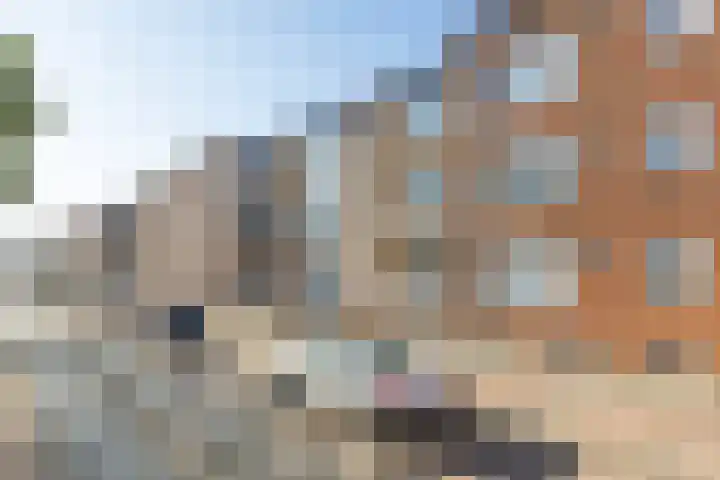 Paul Krugerstraat 406 Vlissingen thumbnail 21