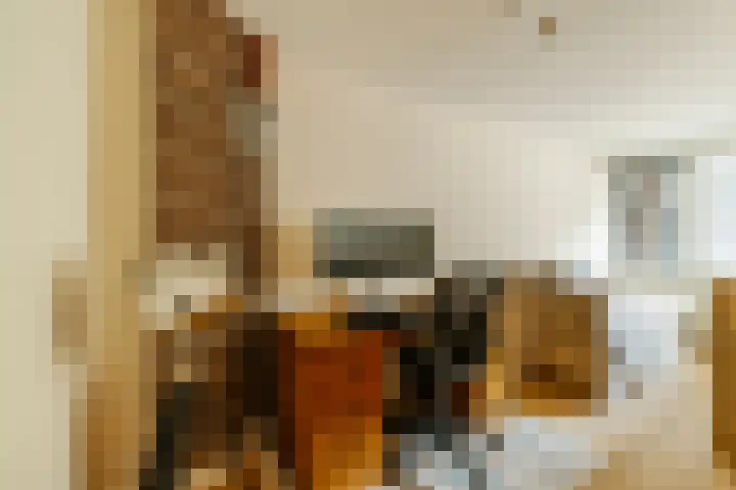 Paul Krugerstraat 41 A Haarlem thumbnail 26
