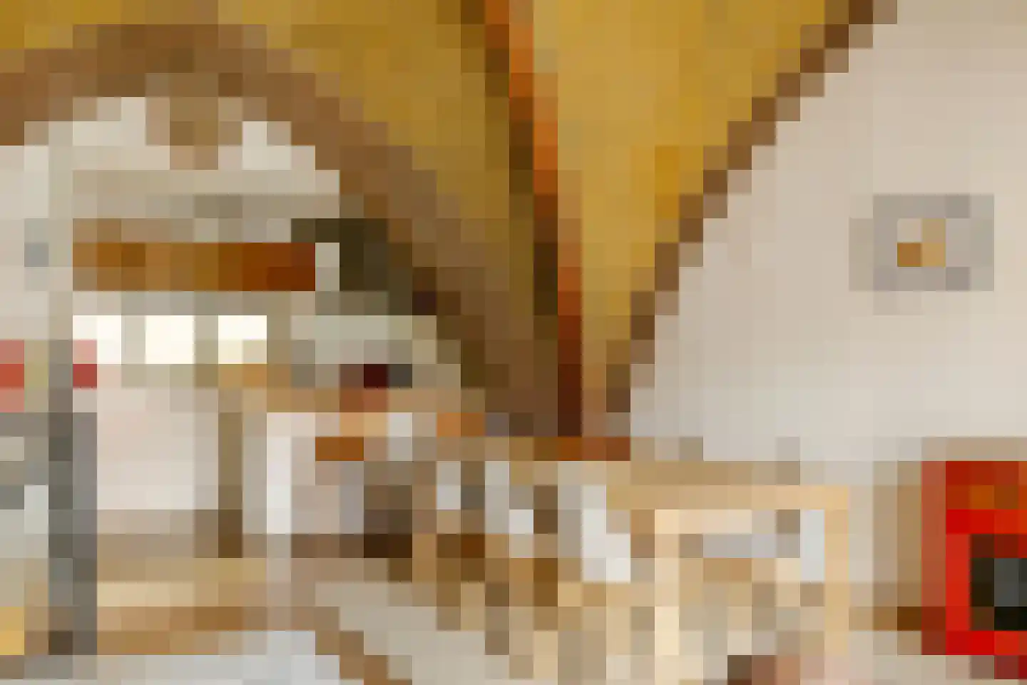 Paul Krugerstraat 41 D Haarlem thumbnail 11