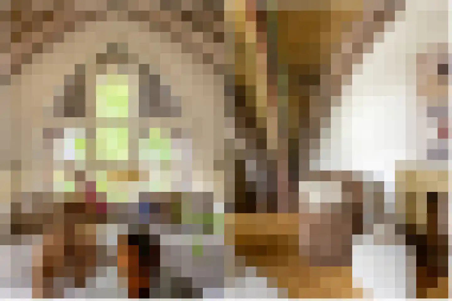 Paul Krugerstraat 41 J Haarlem thumbnail 13