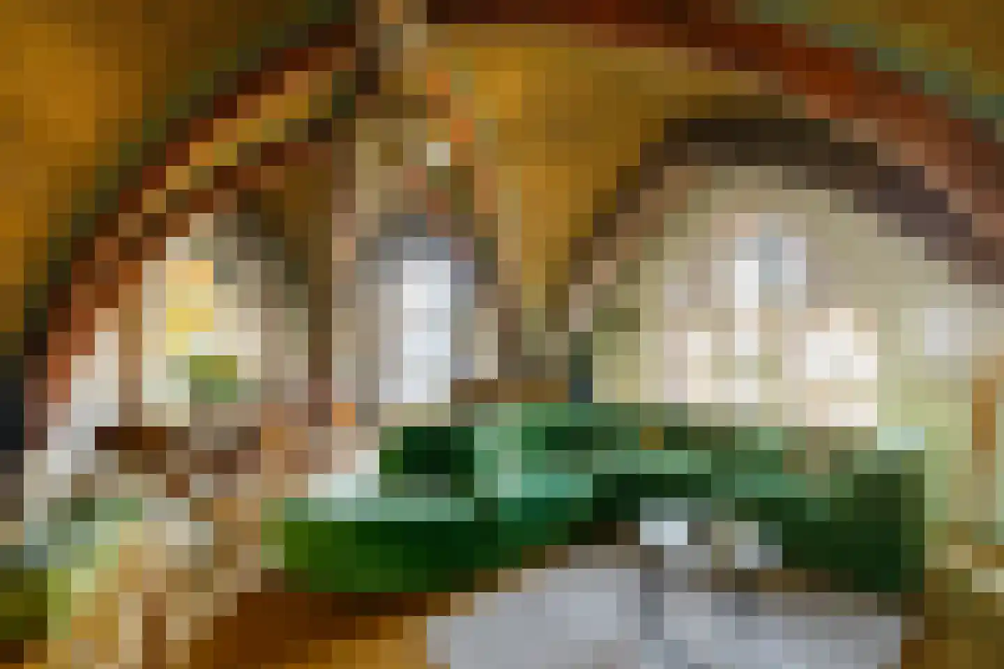 Paul Krugerstraat 41 W Haarlem thumbnail 19