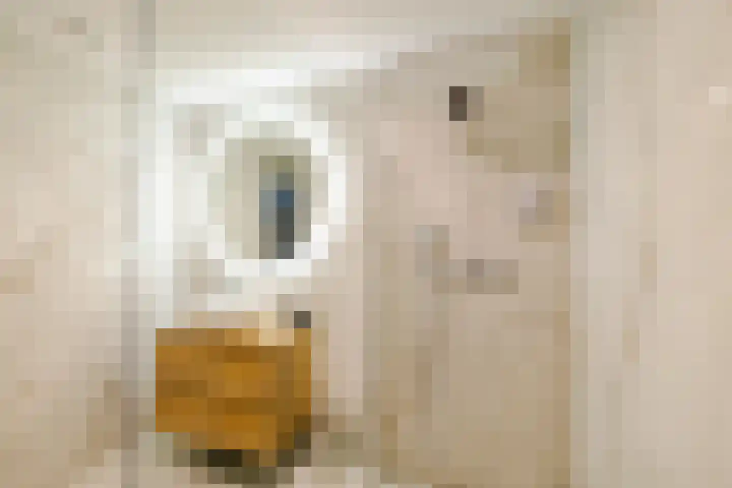 Paul Krugerstraat 41 W Haarlem thumbnail 33